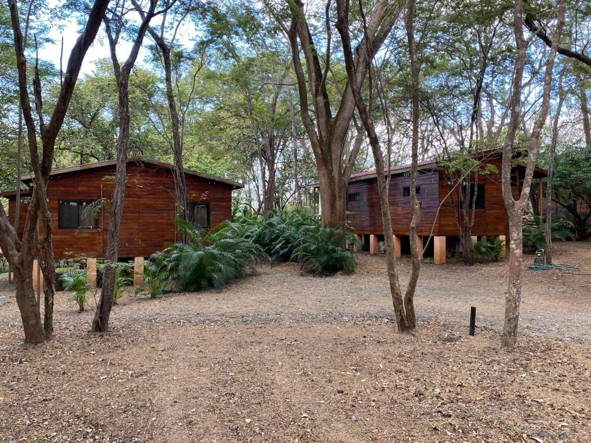 Casa Natural ブラシリト エクステリア 写真
