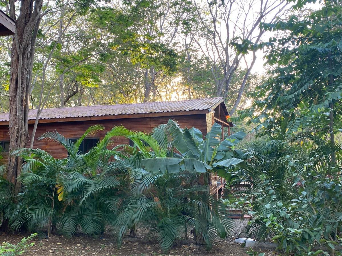 Casa Natural ブラシリト エクステリア 写真