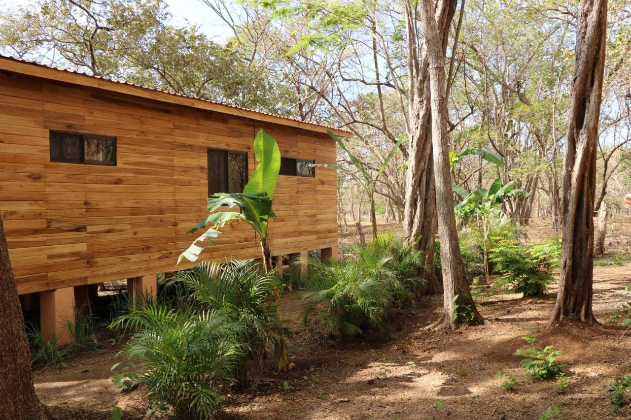 Casa Natural ブラシリト エクステリア 写真